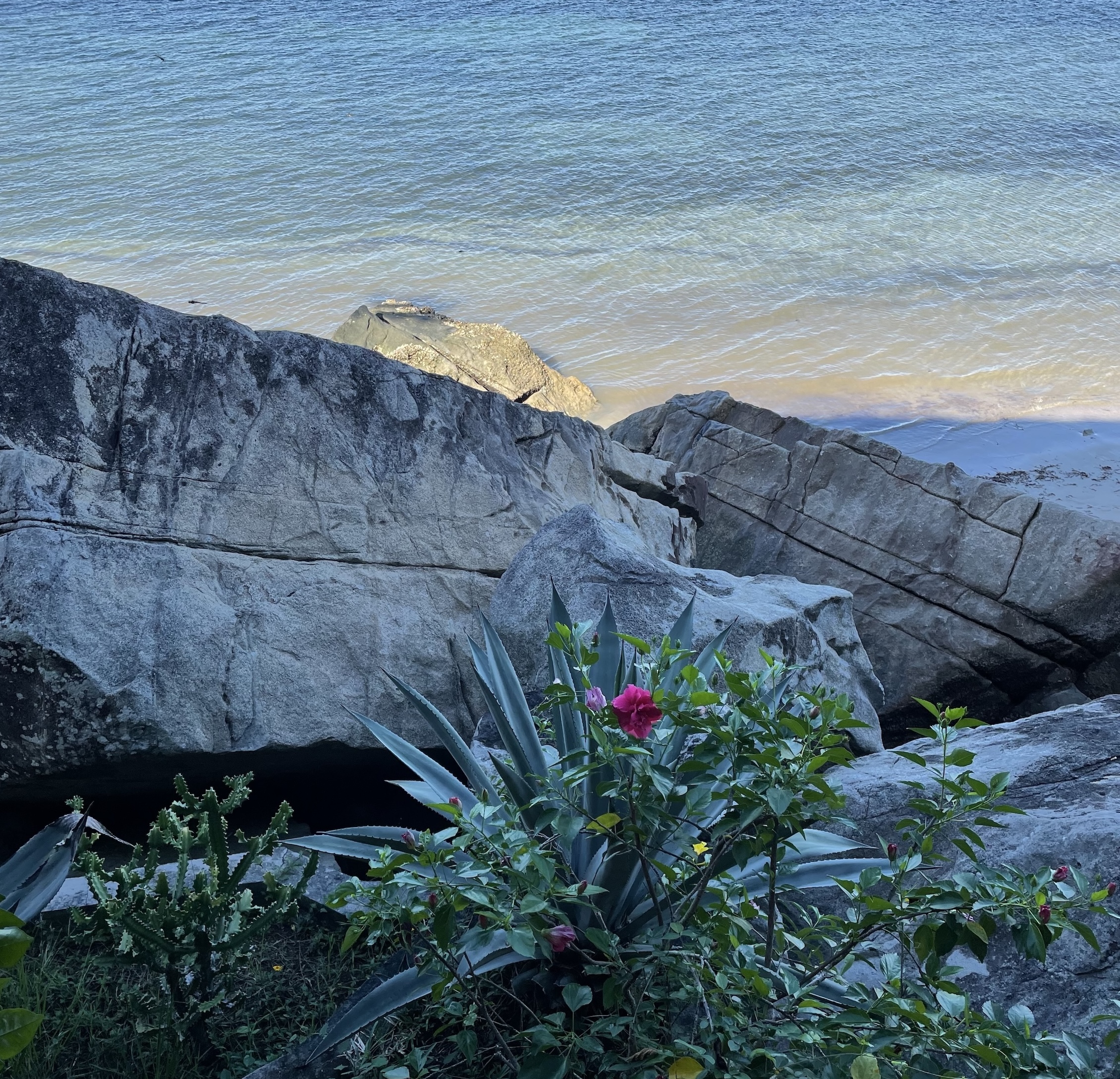 恋しさを香りに