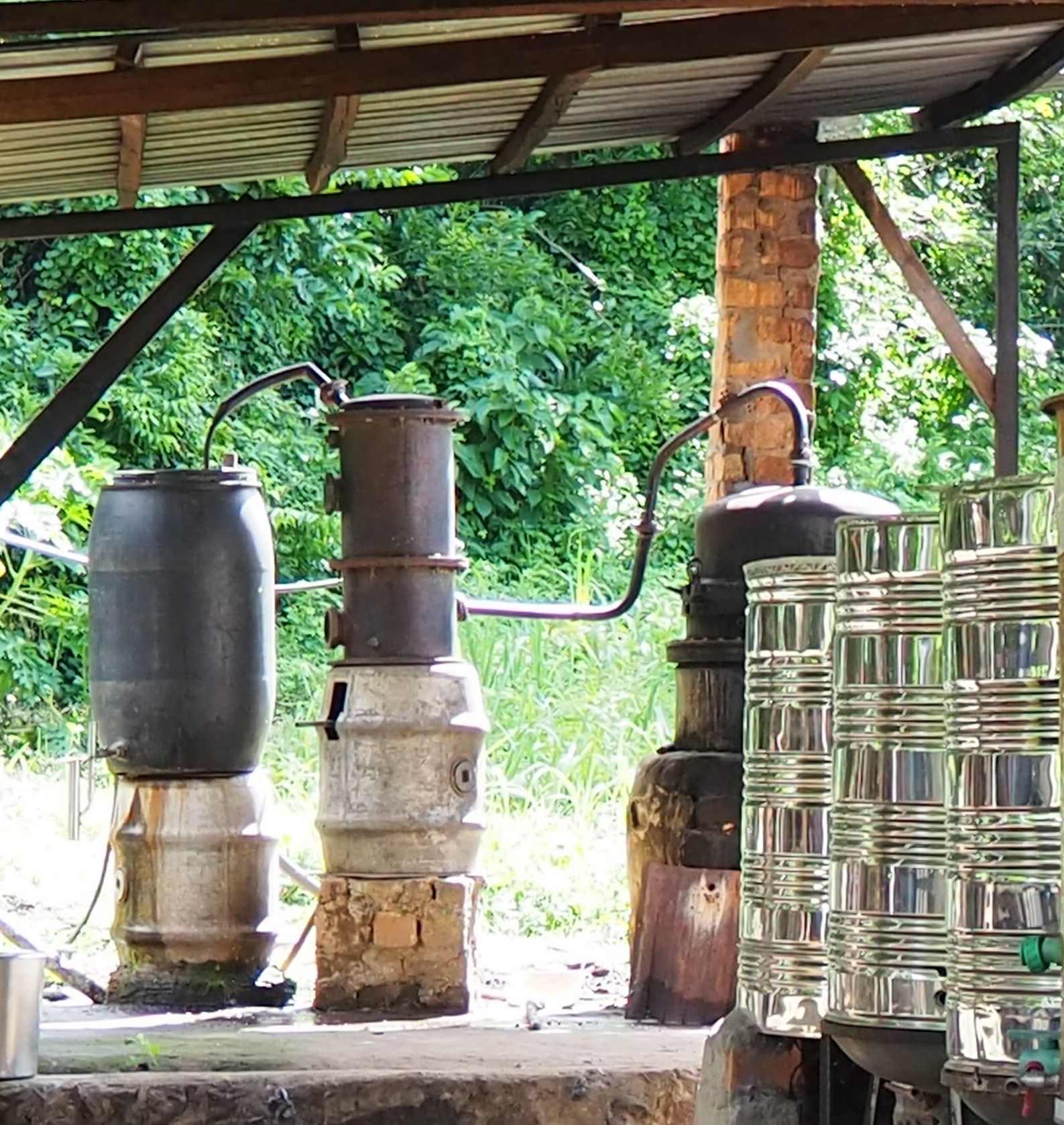 マダガスカルの風景