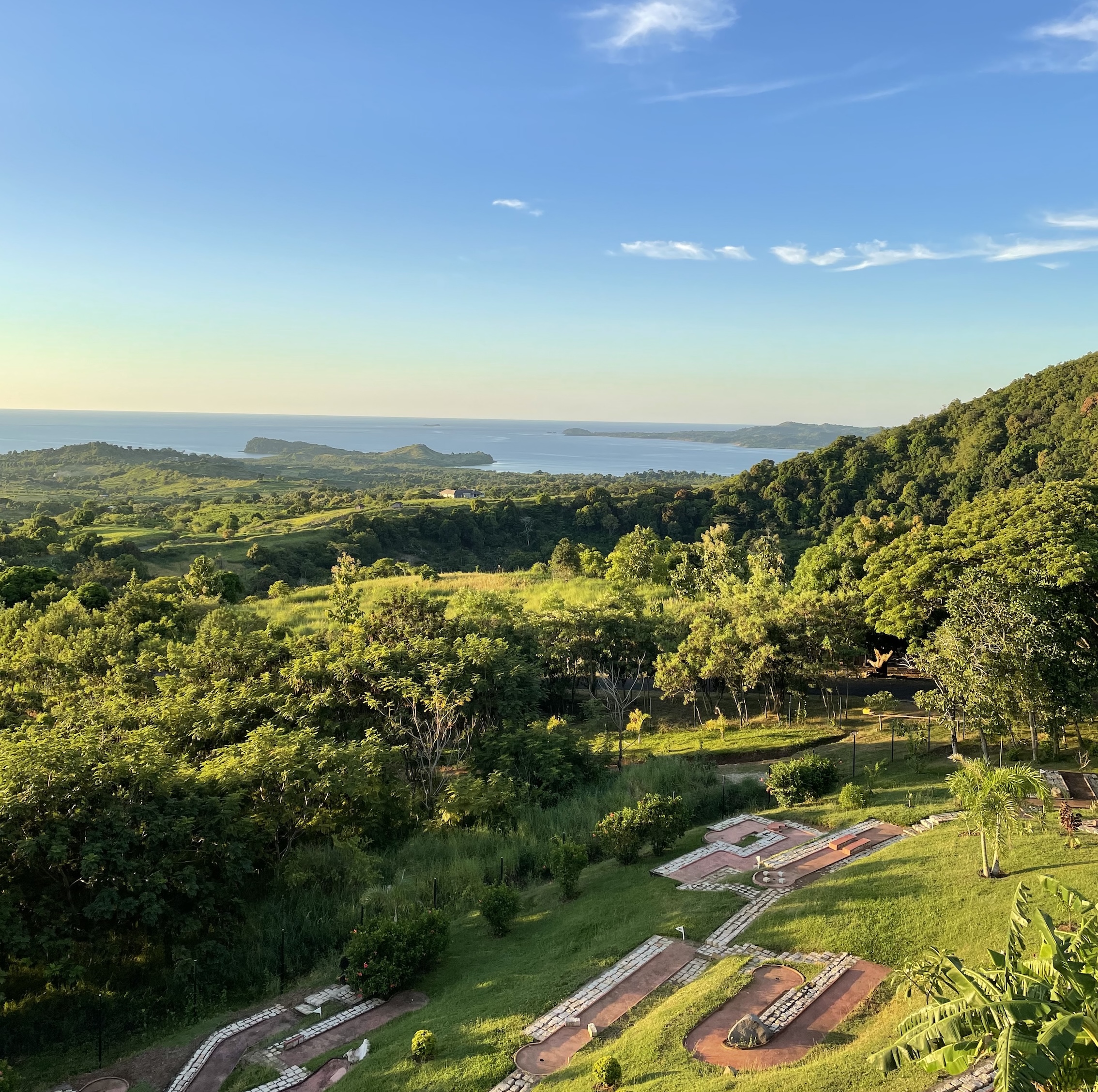 距離を想う一本
