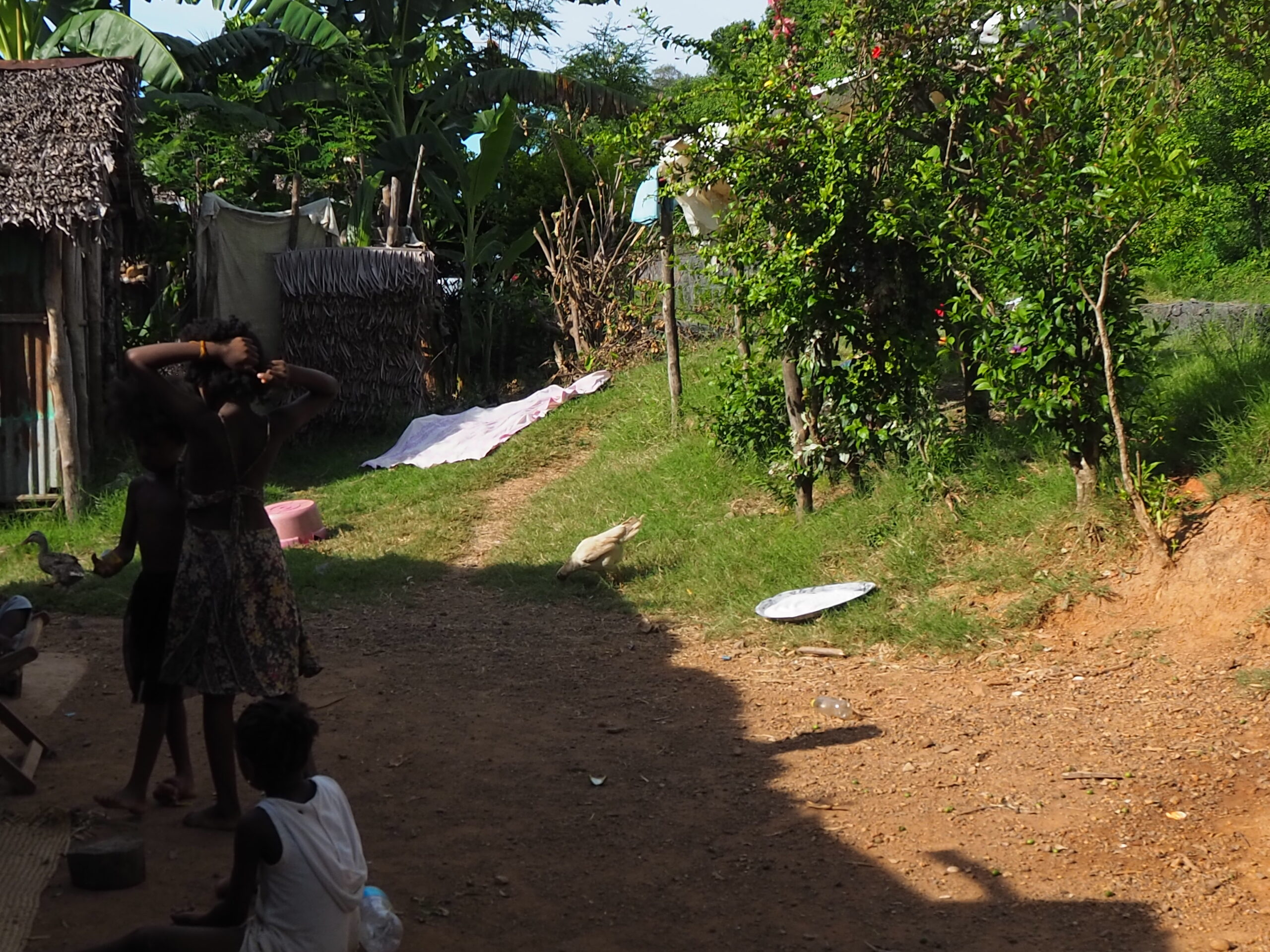 マダガスカルの旅